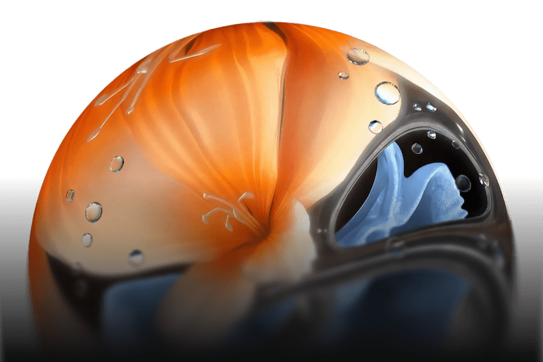 The Universal Language of Creativity